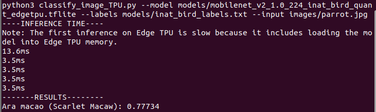 Edge TPU performance image classification MobileNet v2